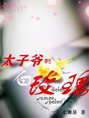 太子爷的深情游戏免费看全集